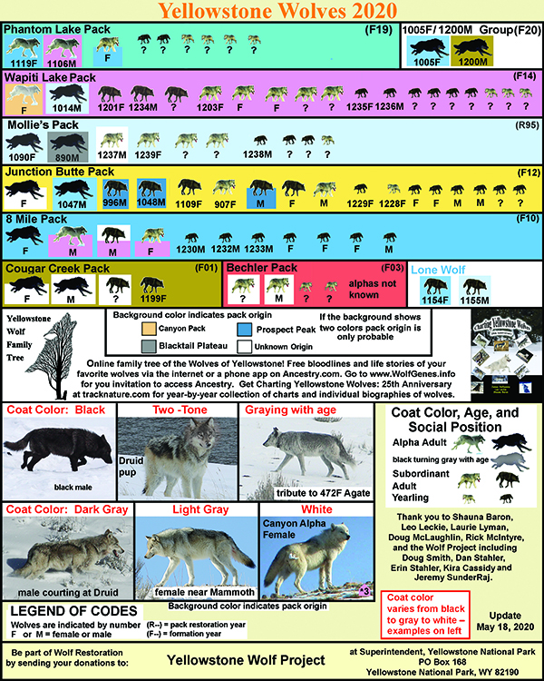 A Naturalist's World A R T Wolf Chart 2020